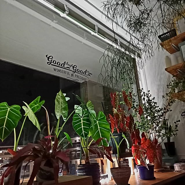 Rさんの部屋