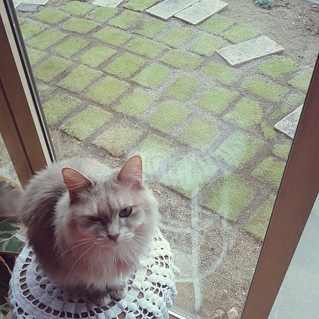 aiuekkoさんの実例写真