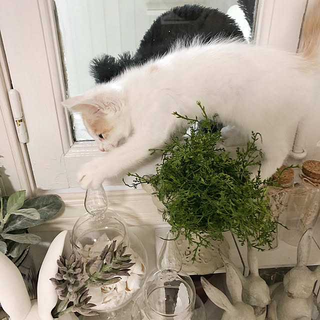 yuchiさんの実例写真