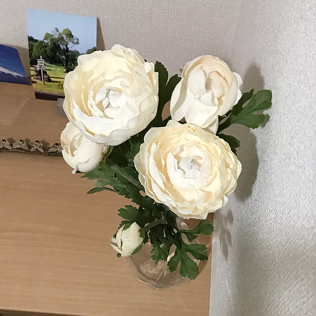 ameonnaさんの実例写真