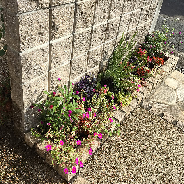 sanw2225719さんの実例写真
