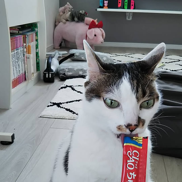 Sakasanさんの実例写真