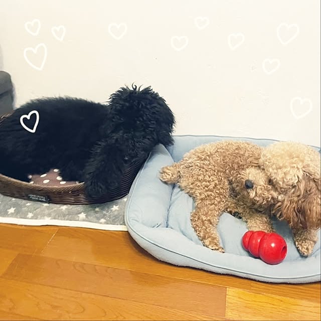 mimi828さんの部屋