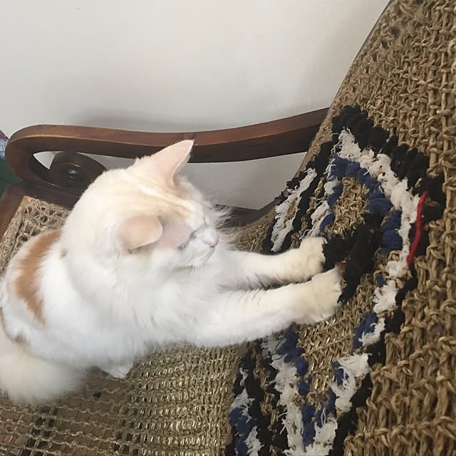 shigimiさんの実例写真