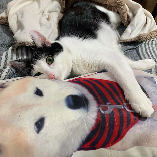 harukaさんの実例写真
