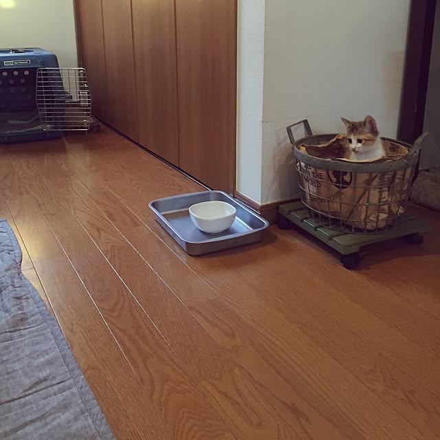 mihoさんの実例写真