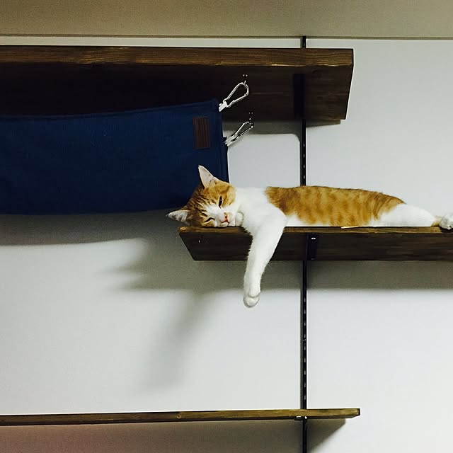abcさんの実例写真
