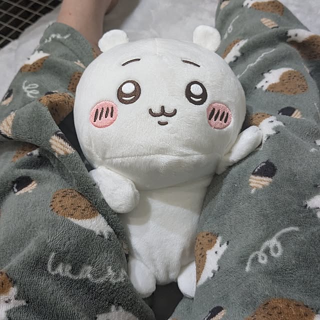 nippopoさんの実例写真