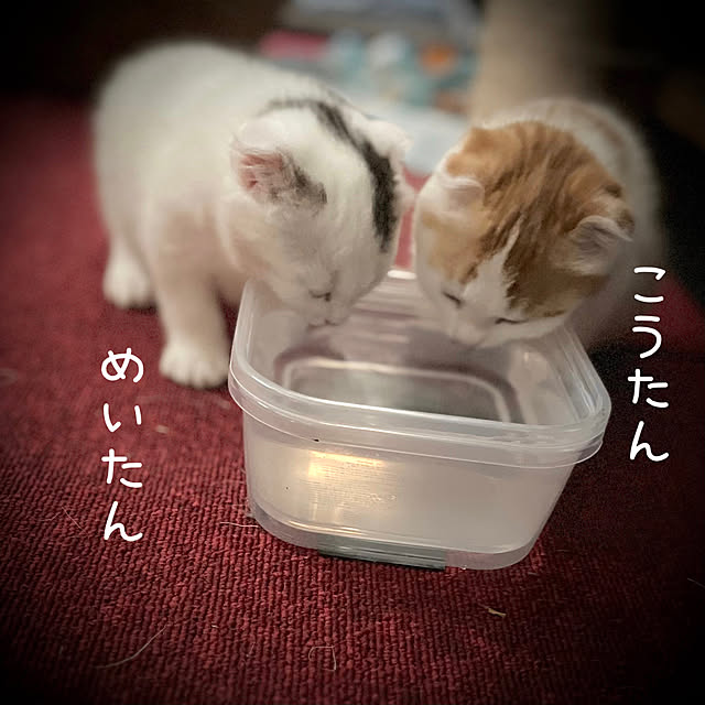 marusanさんの部屋