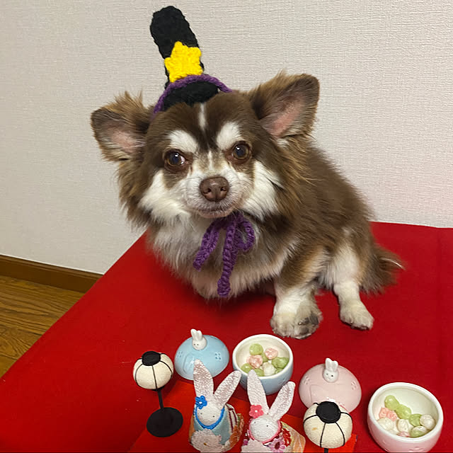 chIoeさんの実例写真