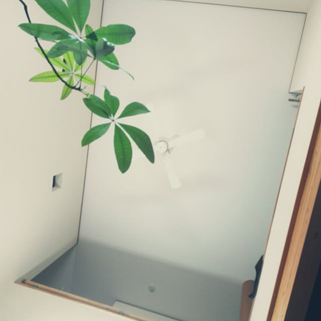 nashoさんの実例写真