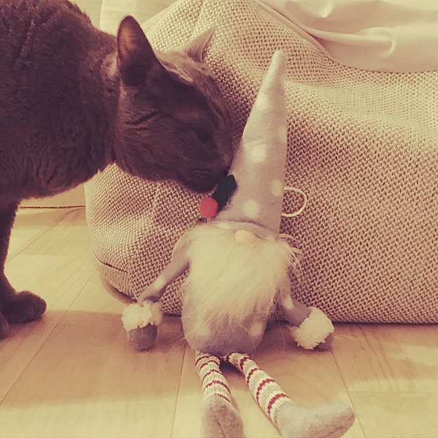leaさんの実例写真