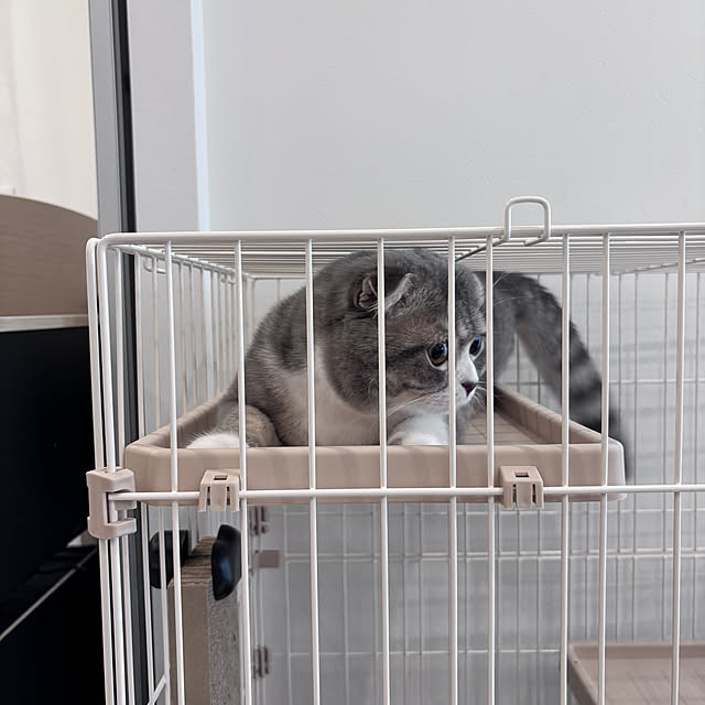kikujiroさんの部屋