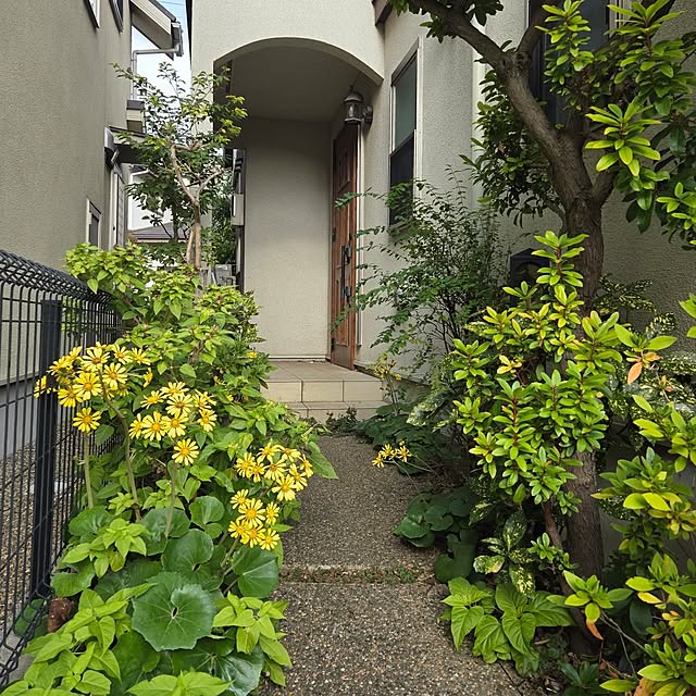 MARIE.color.interiorさんの部屋