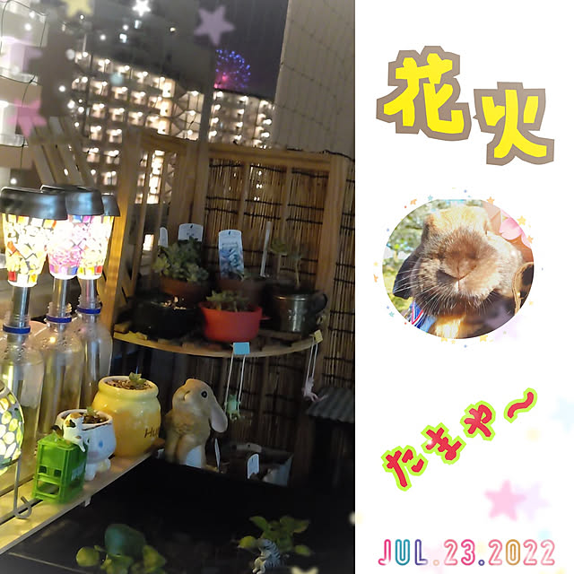 mariaさんの実例写真