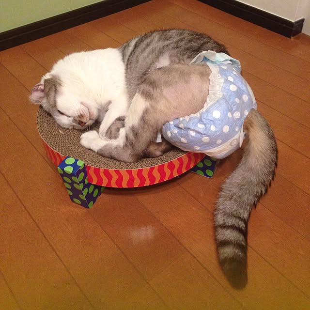 実例写真