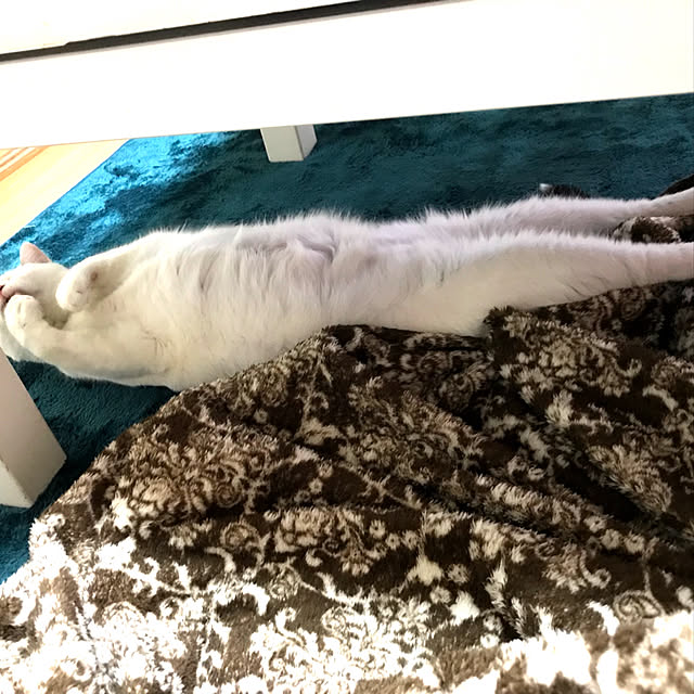 October1026さんの実例写真