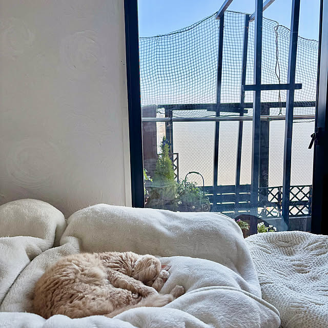 naokoさんの部屋