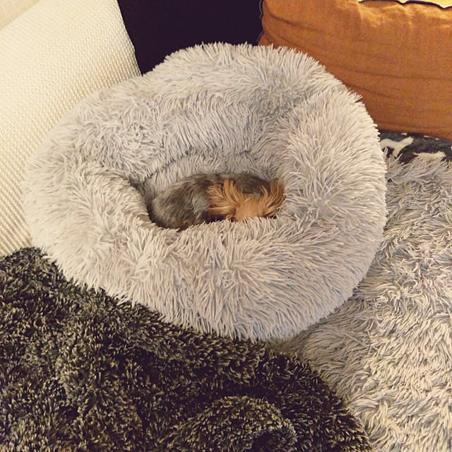 saさんの実例写真