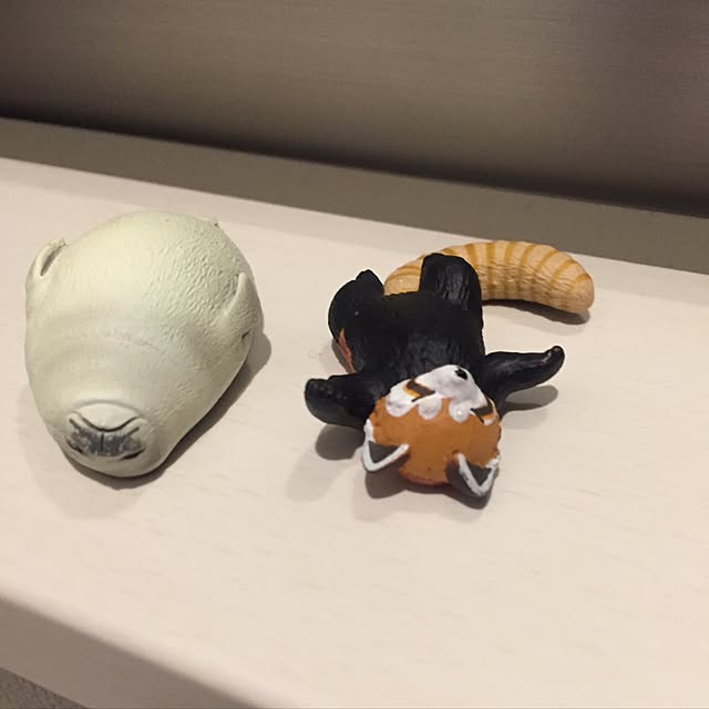e-sukeさんの実例写真