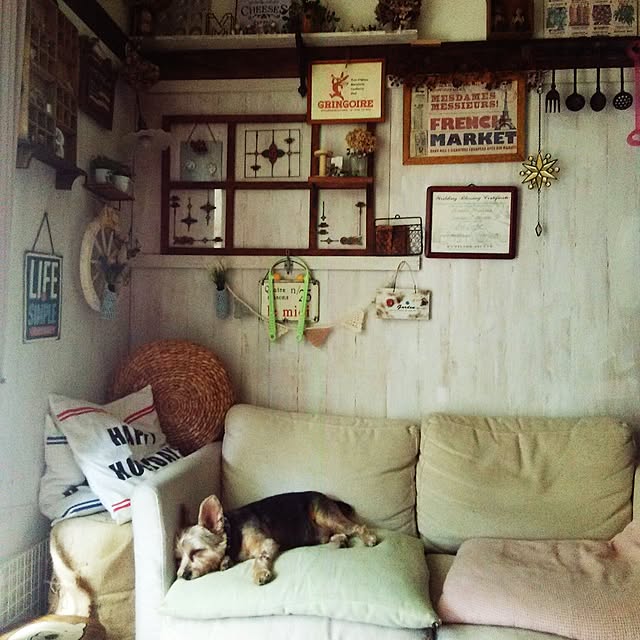 sawapuさんの実例写真