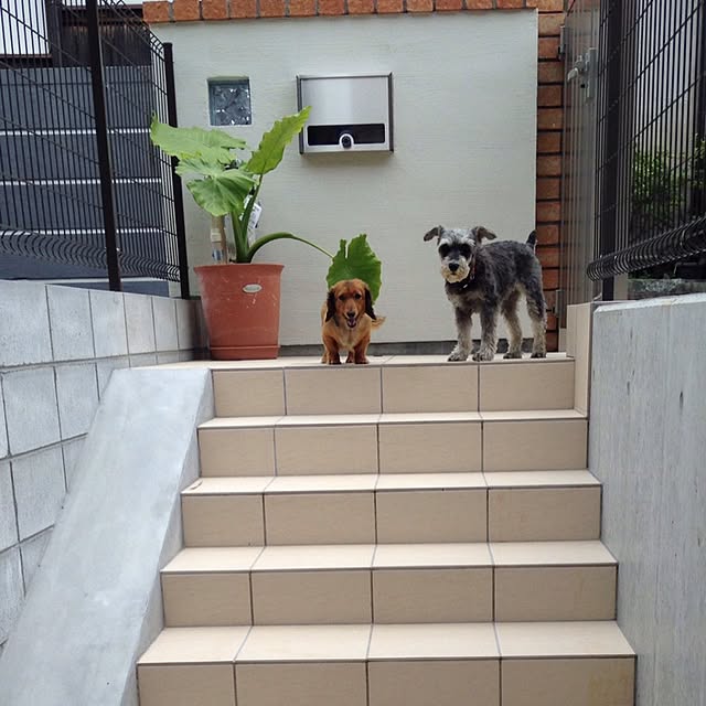 hirokorokoさんの実例写真