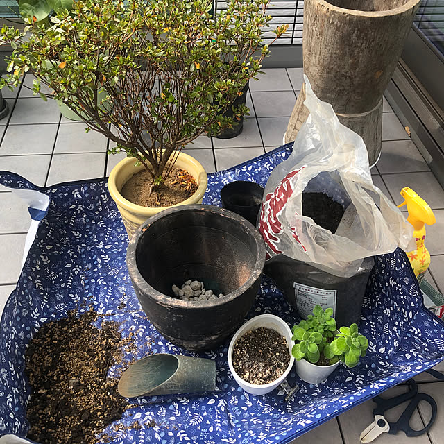 Rororiさんの部屋