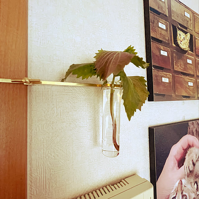 Mさんの実例写真