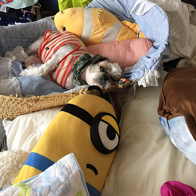 emiさんの実例写真