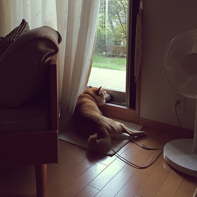 shizu2380さんの実例写真