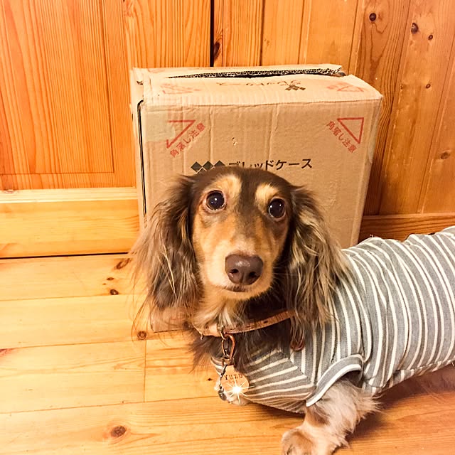 yupponさんの実例写真