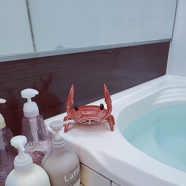 shiuさんの実例写真
