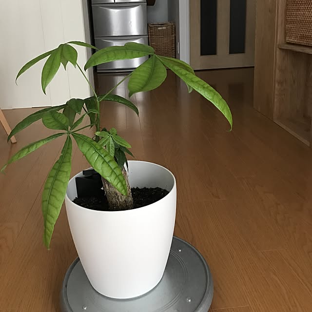 pontaさんの実例写真