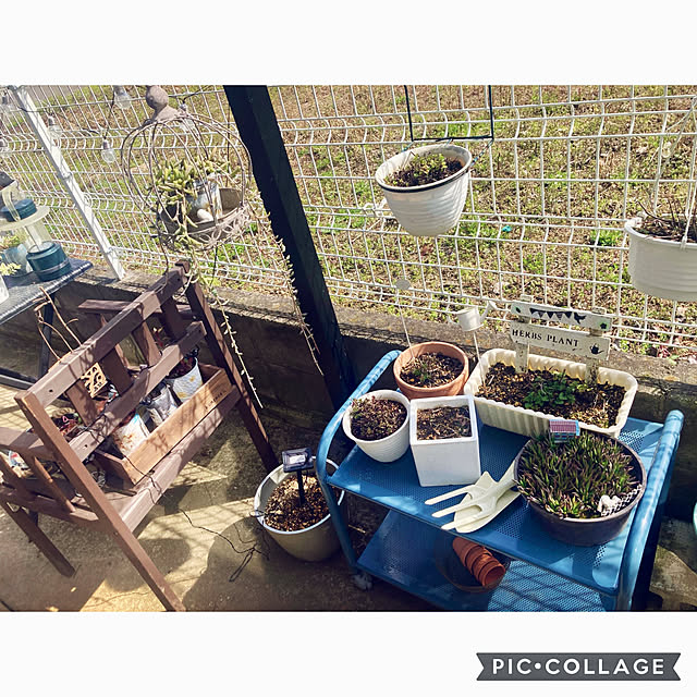 CoCo0617さんの部屋