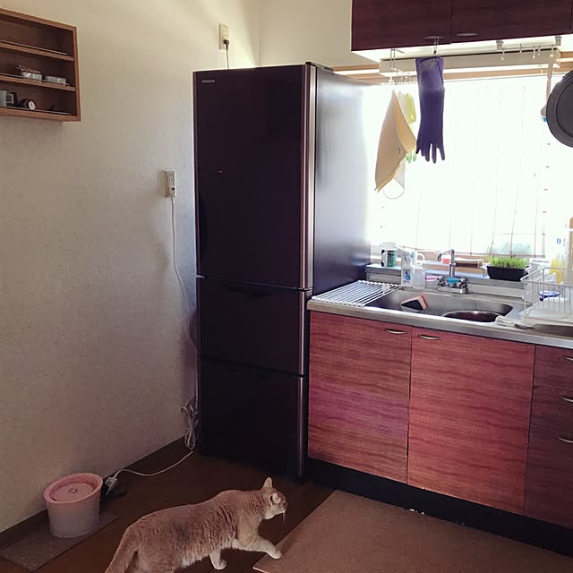 nicoさんの実例写真