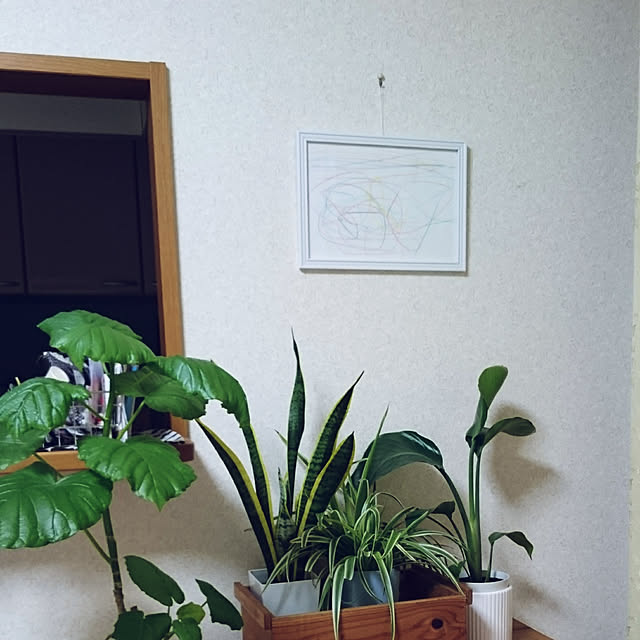 tamaさんの実例写真
