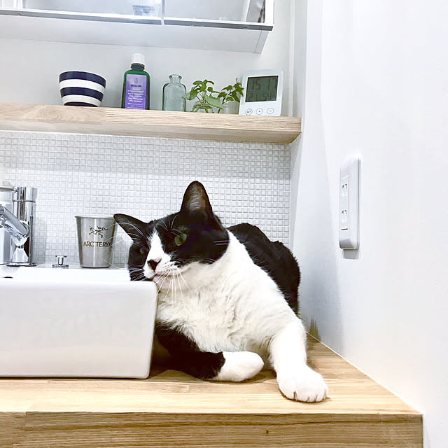 pooさんの実例写真