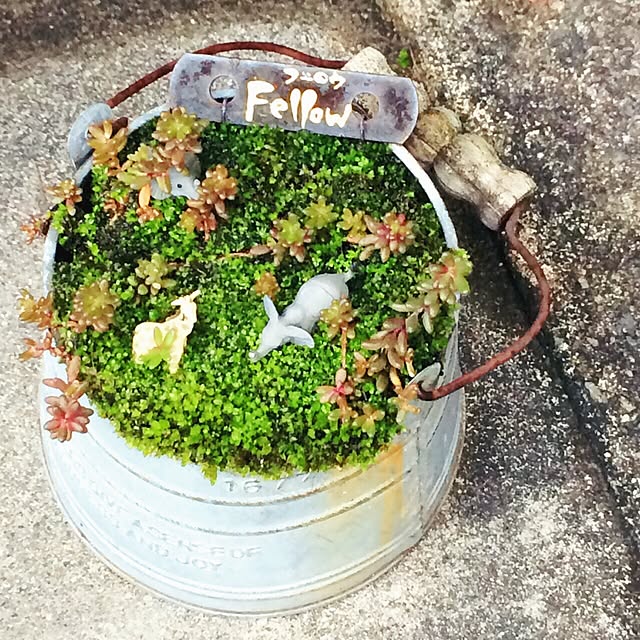 Fellowさんの実例写真