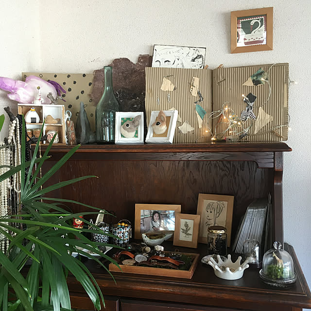 alocaciaさんの部屋