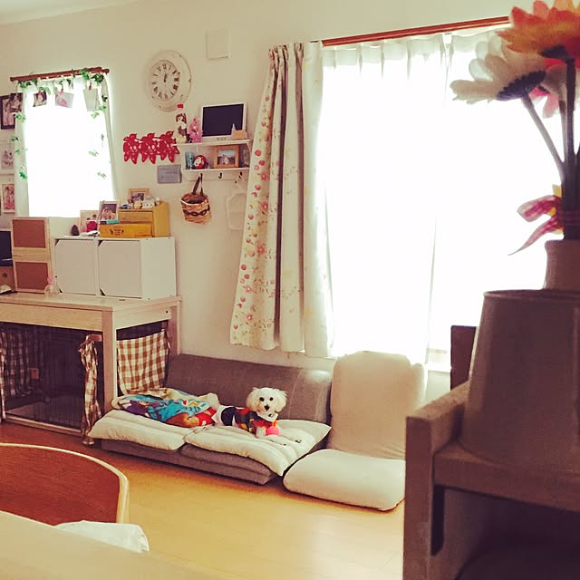 Masamiさんの実例写真
