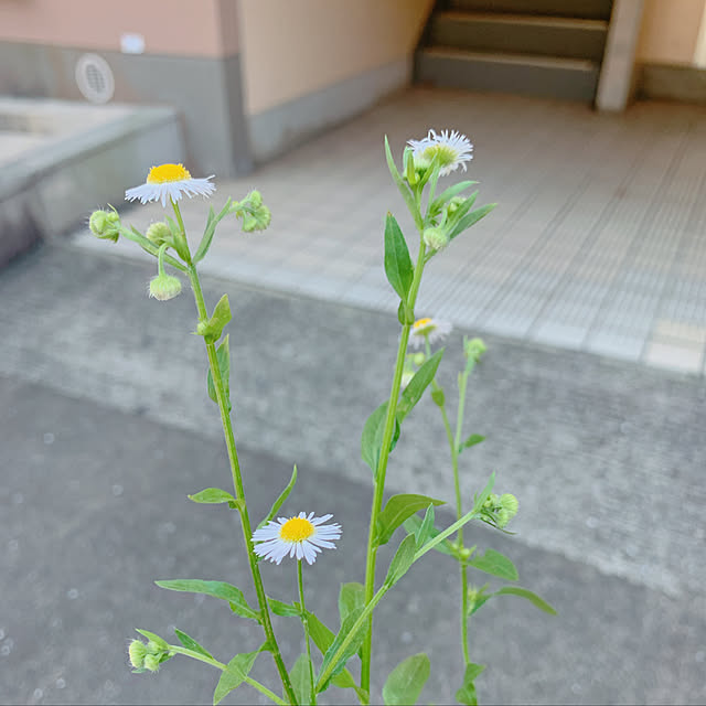 totoさんの実例写真