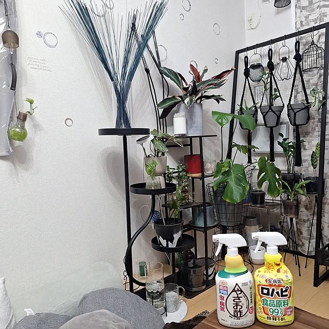 Riokaさんの実例写真