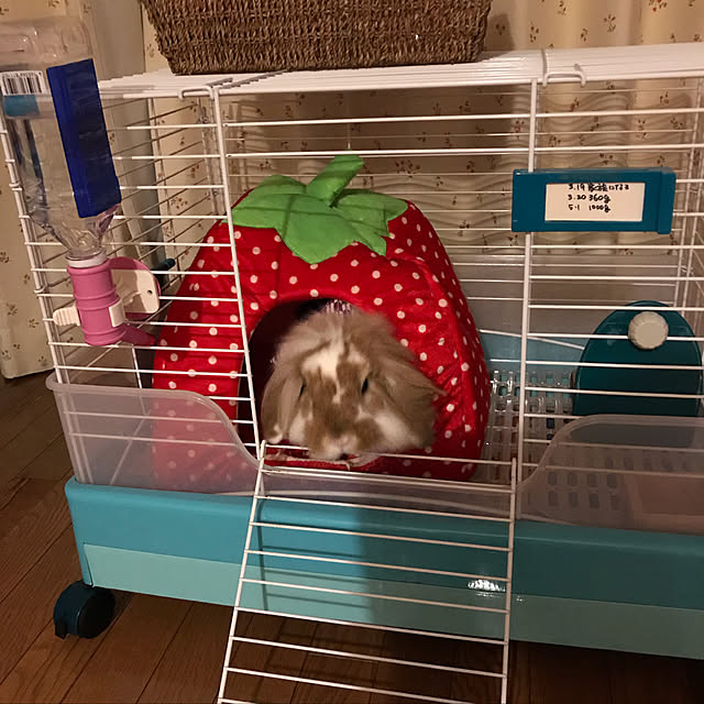 megumi_さんの実例写真