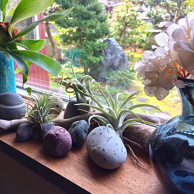 1616roomさんの実例写真