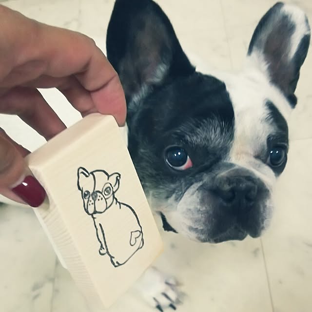 panchobiさんの実例写真