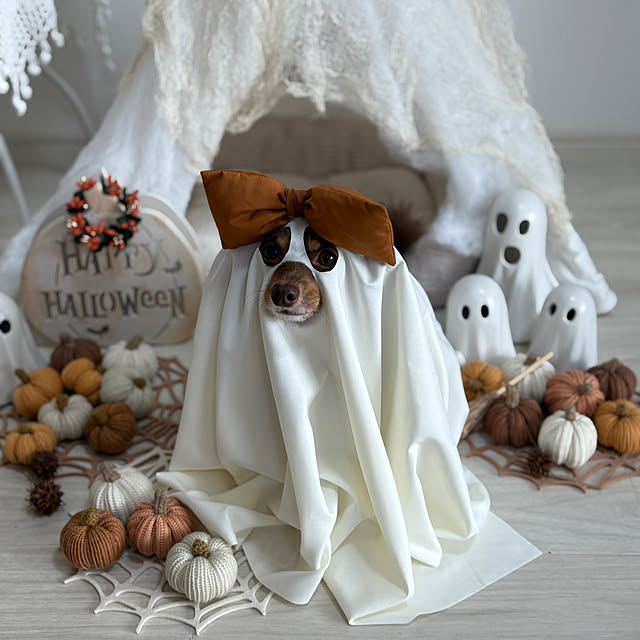 emiさんの実例写真