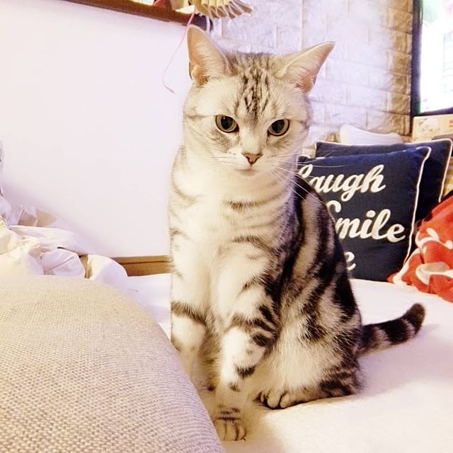 kumingさんの実例写真