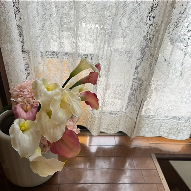 mamizaさんの部屋