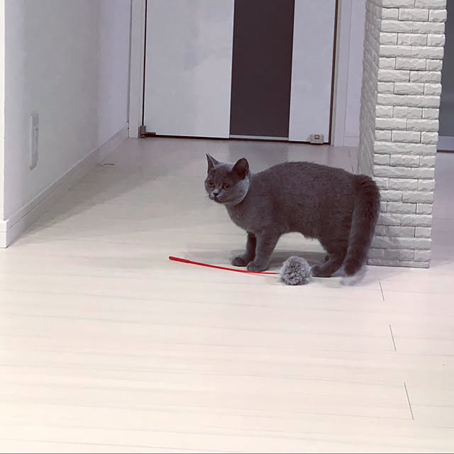 michiさんの実例写真