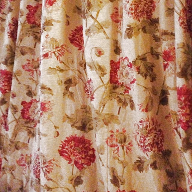 curiousさんの実例写真
